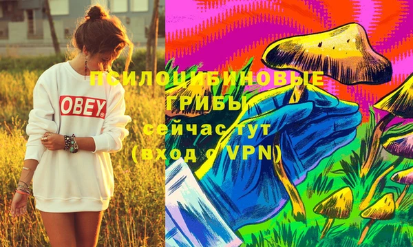 дмт Заводоуковск