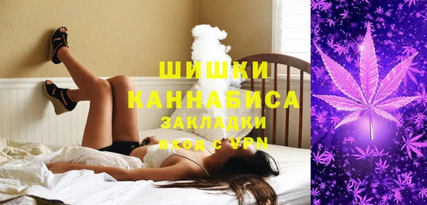 стаф Заволжск