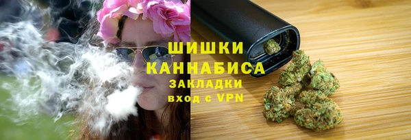 дмт Заводоуковск