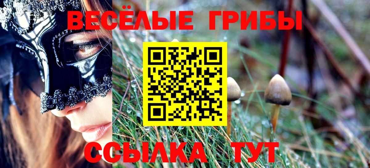 Псилоцибиновые грибы Psilocybine cubensis  Вход с VPN  Псилоцибиновые грибы Magic Shrooms  Новочебоксарск 