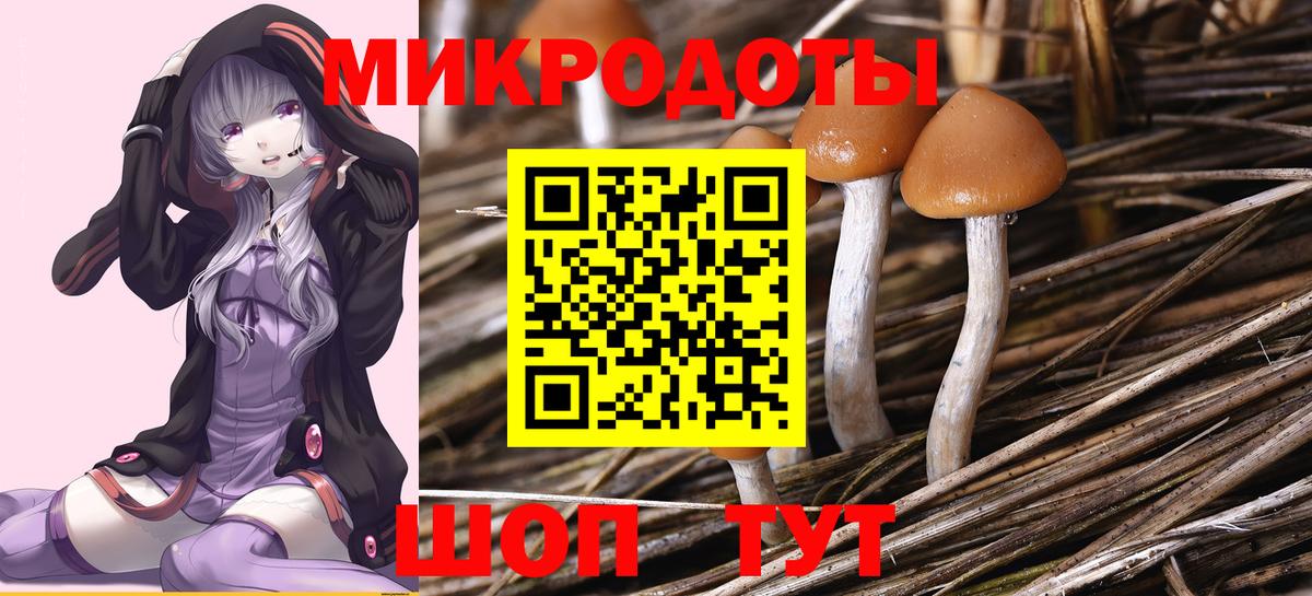 Галлюциногенные грибы прущие грибы Новочебоксарск